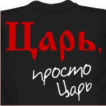 Купить футболку в городе Рогнедино